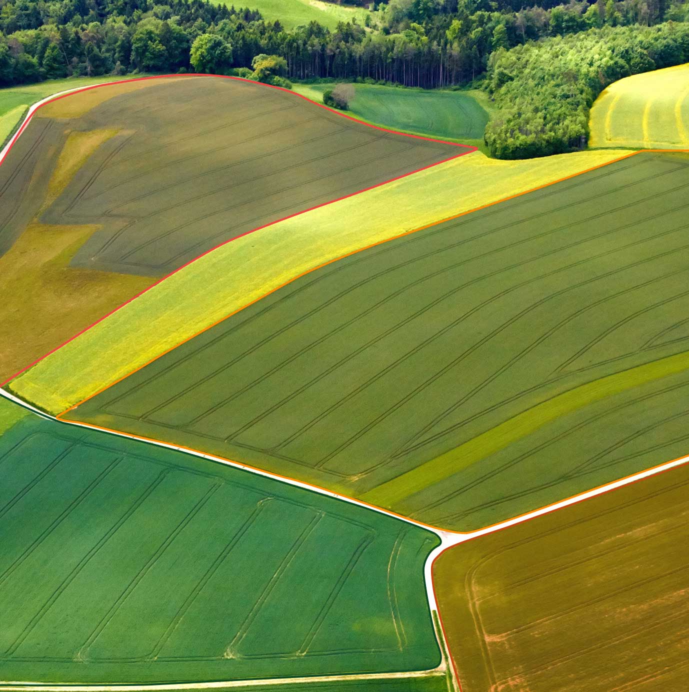 fields with different threats detected through Risk Intelligence by EOSDA